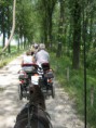 /album/menrit-04-06-2011/zeeuwse-menrit-juni-2011-021-jpg/